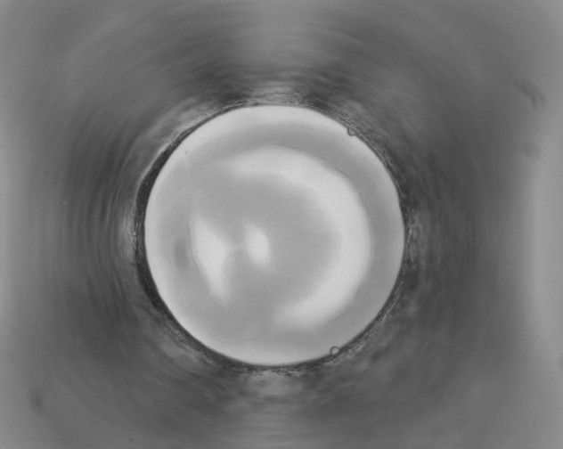 X0000112820290200910021208