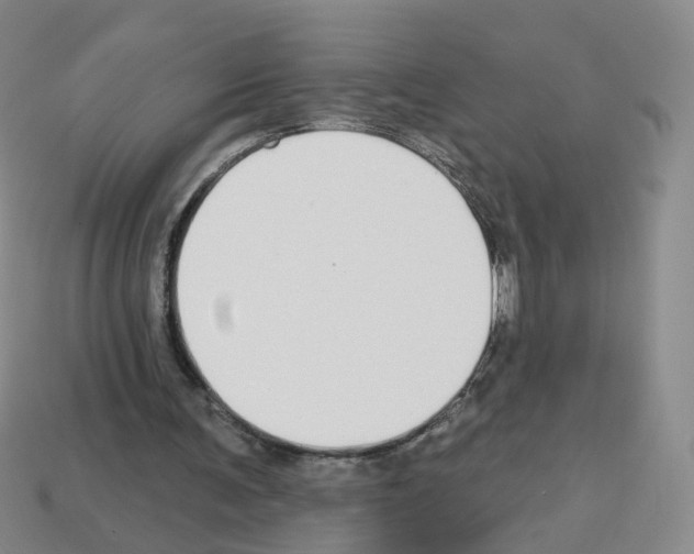 X0000112820291200910021208