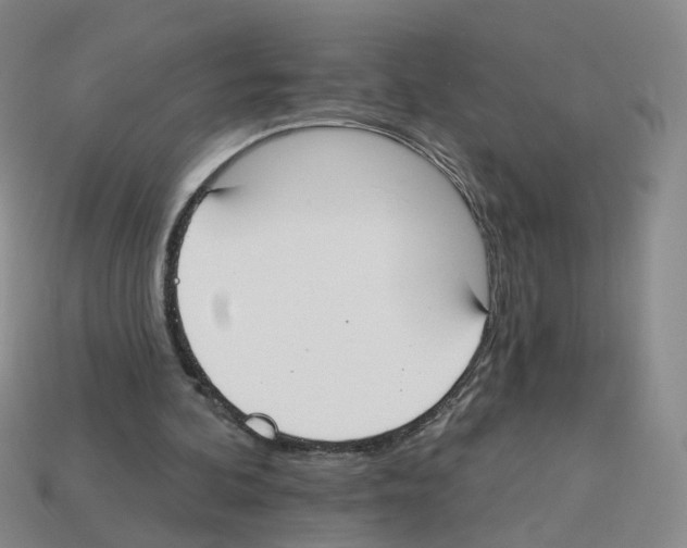 X0000112820292200910021208