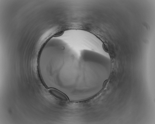 X0000112820293200910021208