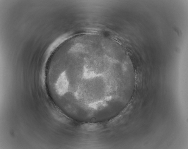 X0000112820294200910021208