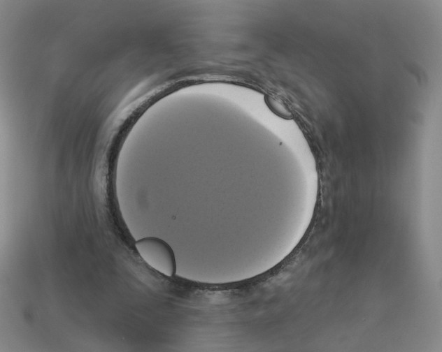 X0000112820295200910021208