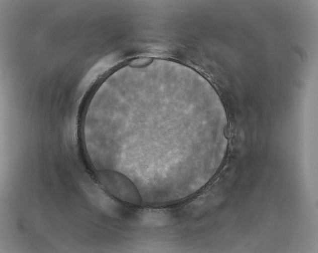 X0000112820296200910021208