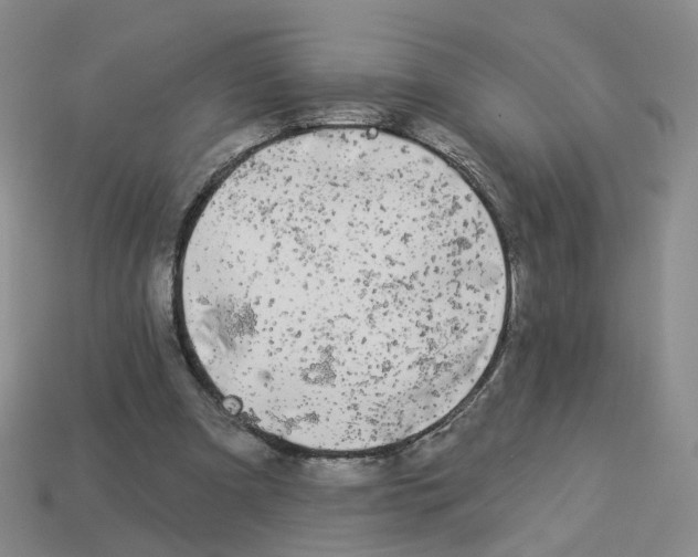 X0000112820297200910021208