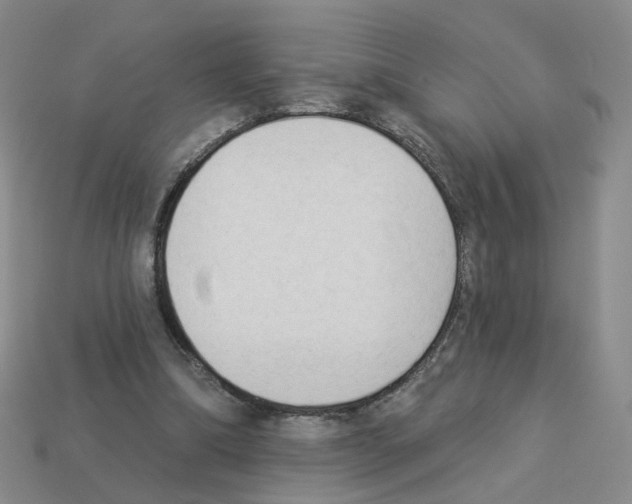 X0000112820298200910021208