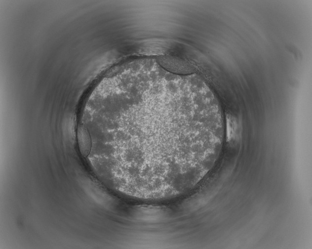 X0000112820300200910021208