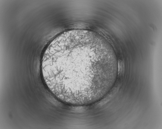 X0000112820301200910021208