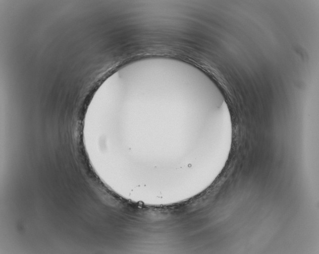 X0000112820305200910021207