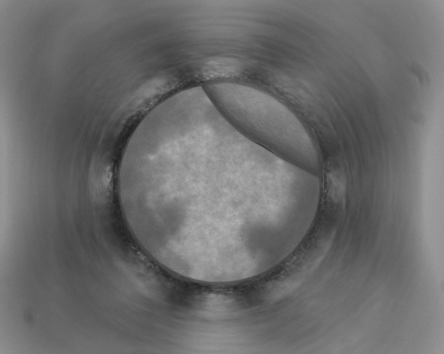 X0000112820308200910021207