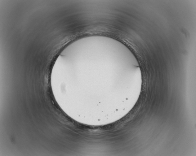 X0000112820309200910021207