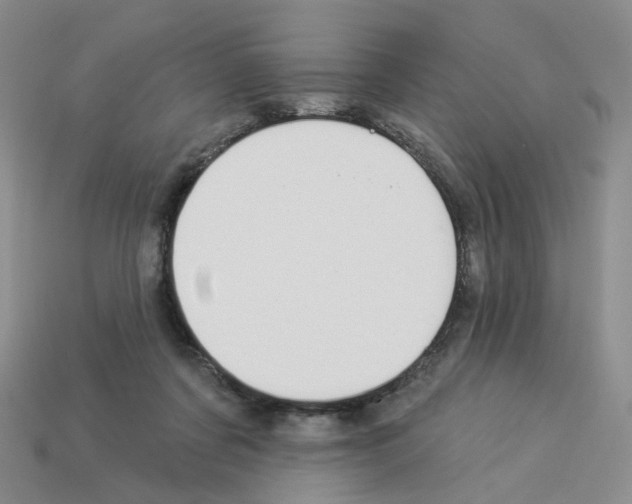 X0000112820311200910021207