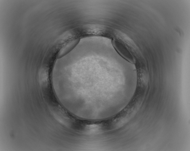 X0000112820312200910021207