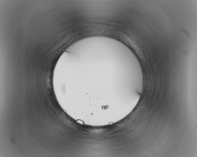 X0000112820313200910021207