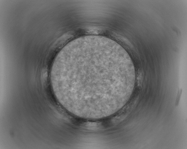 X0000112820314200910021207