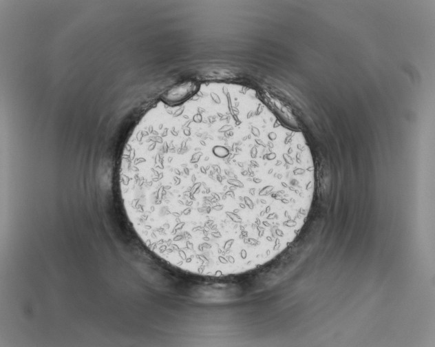 X0000112820315200910021207