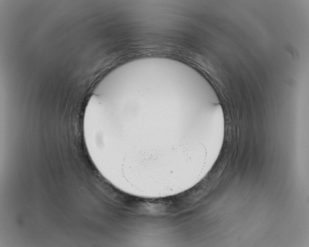 X0000112820317200910021207