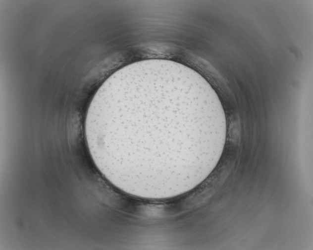 X0000112820318200910021207