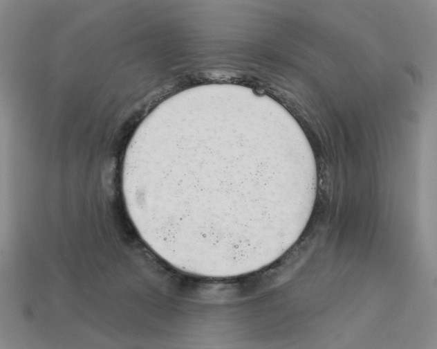 X0000112820319200910021207