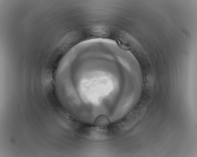 X0000112820320200910021207