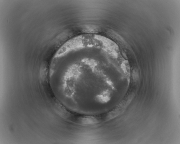 X0000112820322200910021207