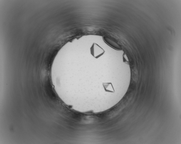 X0000112820324200910021207