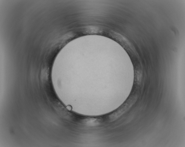 X0000112820326200910021207