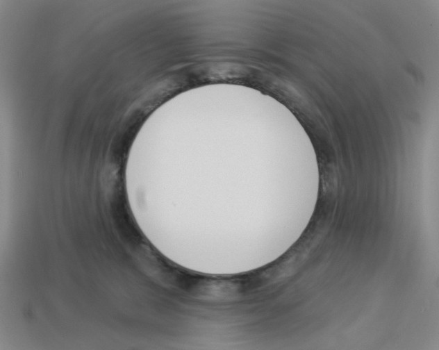 X0000112820327200910021207