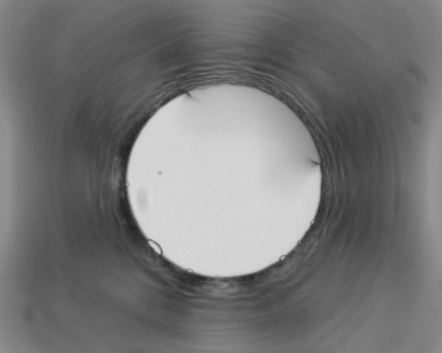 X0000112820328200910021207