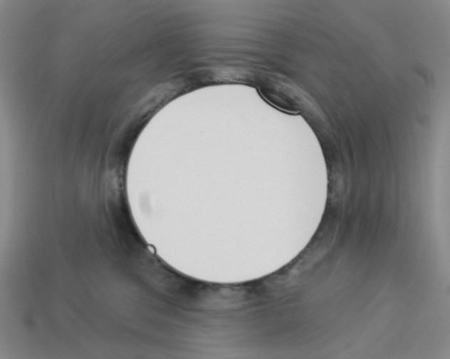 X0000112820329200910021207