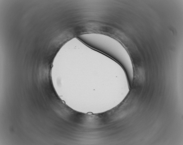 X0000112820333200910021207