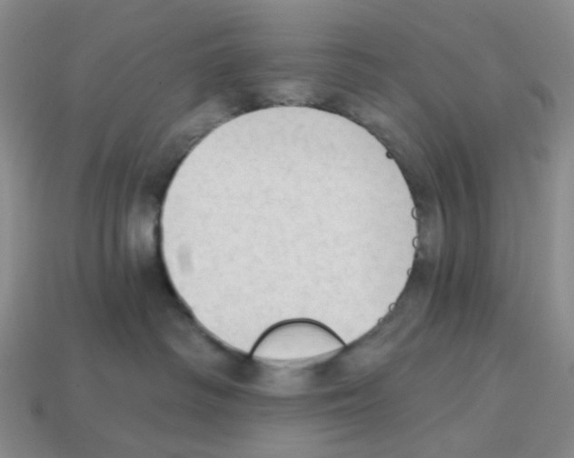 X0000112820334200910021207