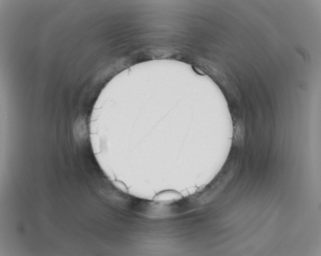 X0000112820335200910021207