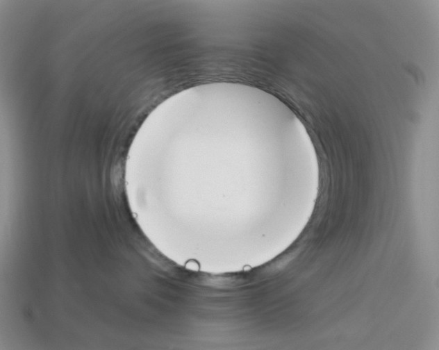 X0000112820336200910021207