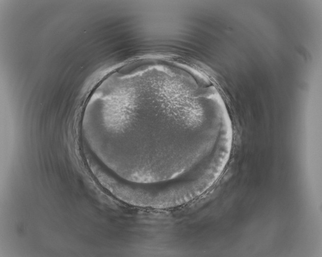 X0000112820337200910021206