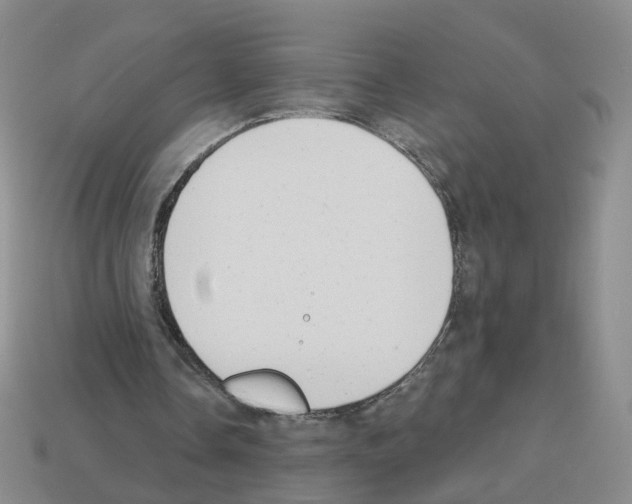 X0000112820338200910021206