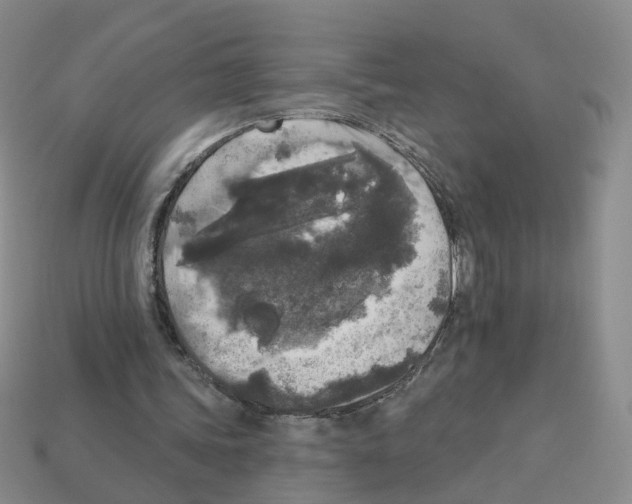 X0000112820339200910021206