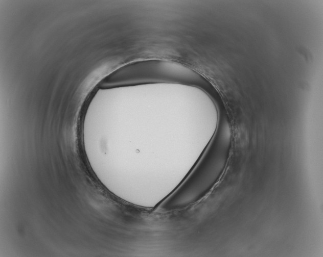 X0000112820340200910021206