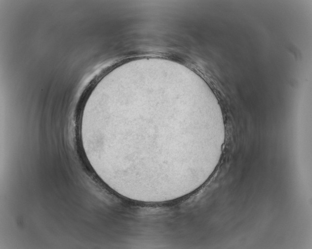 X0000112820342200910021207