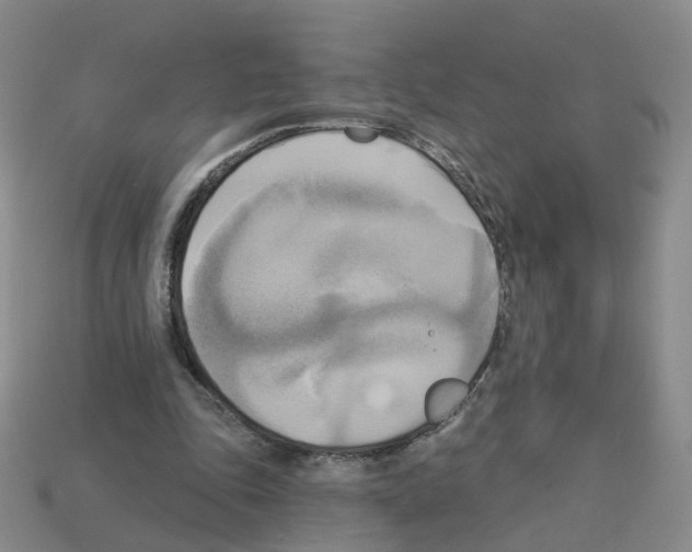 X0000112820343200910021207