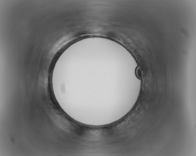 X0000112820344200910021207