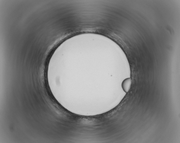 X0000112820346200910021207