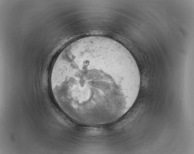 X0000112820347200910021207