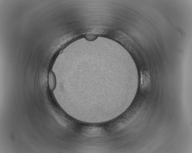 X0000112820348200910021207