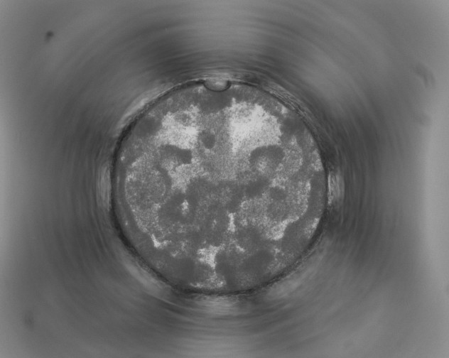 X0000112820349200910021207