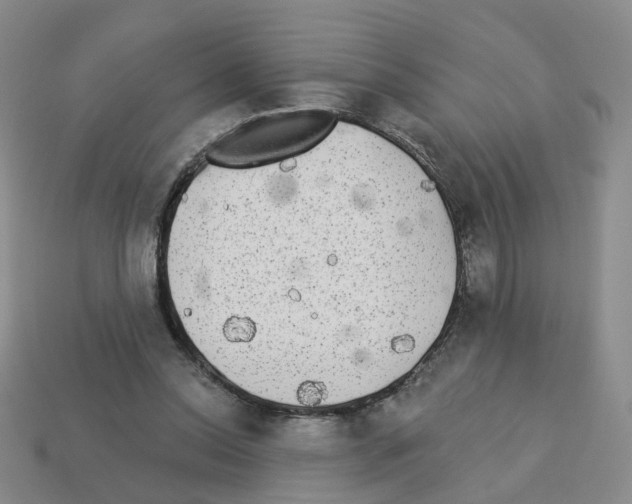 X0000112820350200910021207