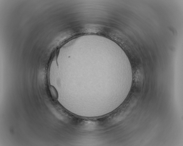 X0000112820352200910021207