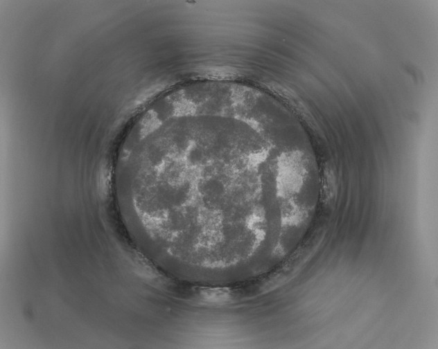 X0000112820355200910021207