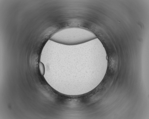 X0000112820356200910021207