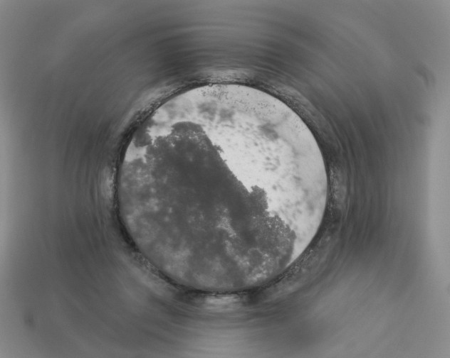 X0000112820357200910021207