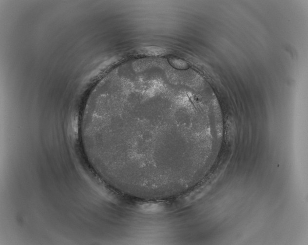 X0000112820358200910021207